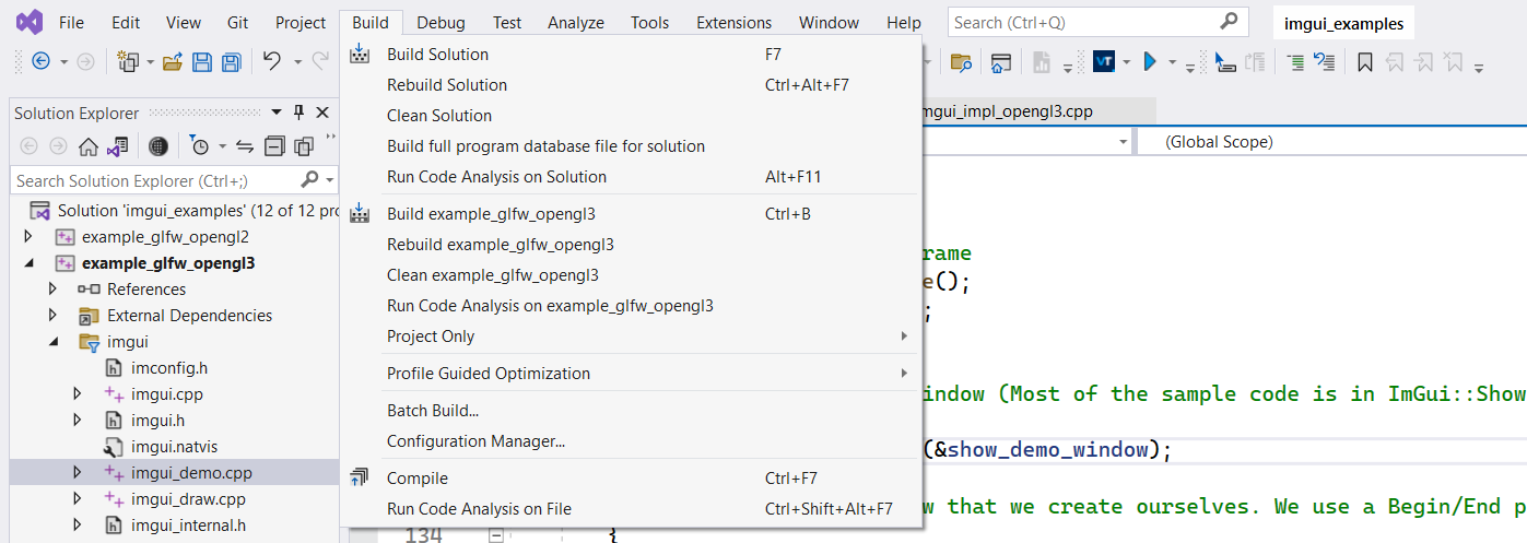 Build and rebuild project in Visual Studio